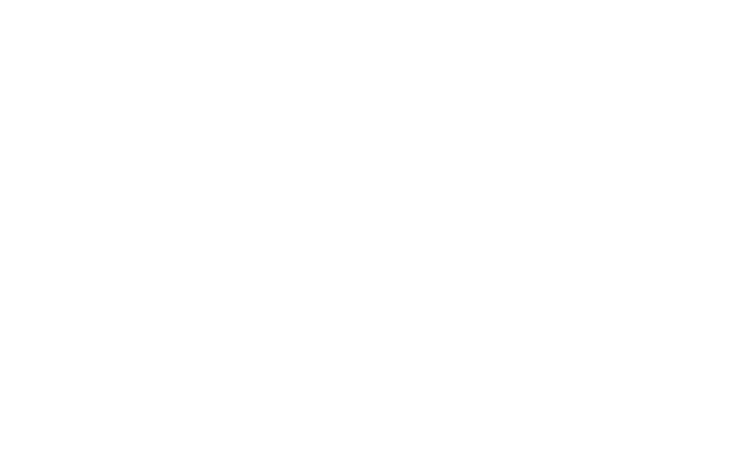 Mega SCC Turizm